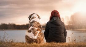 amour animaux