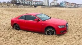 Audi sable