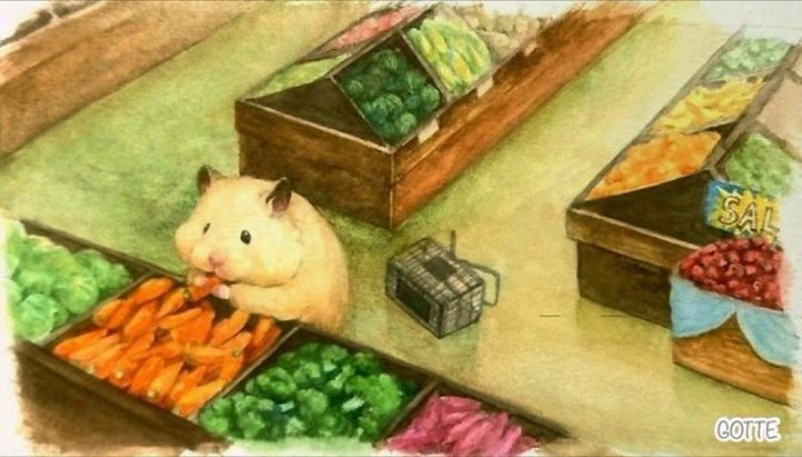 aventures-hamster-peinture-aquarelle