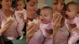 Bébé et tacos