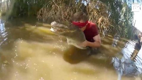 bird box challenge alligators