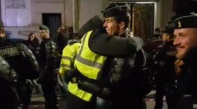 Calins Gilets jaunes