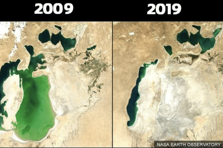10 years challenge