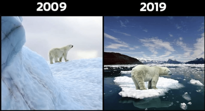 10 years challenge