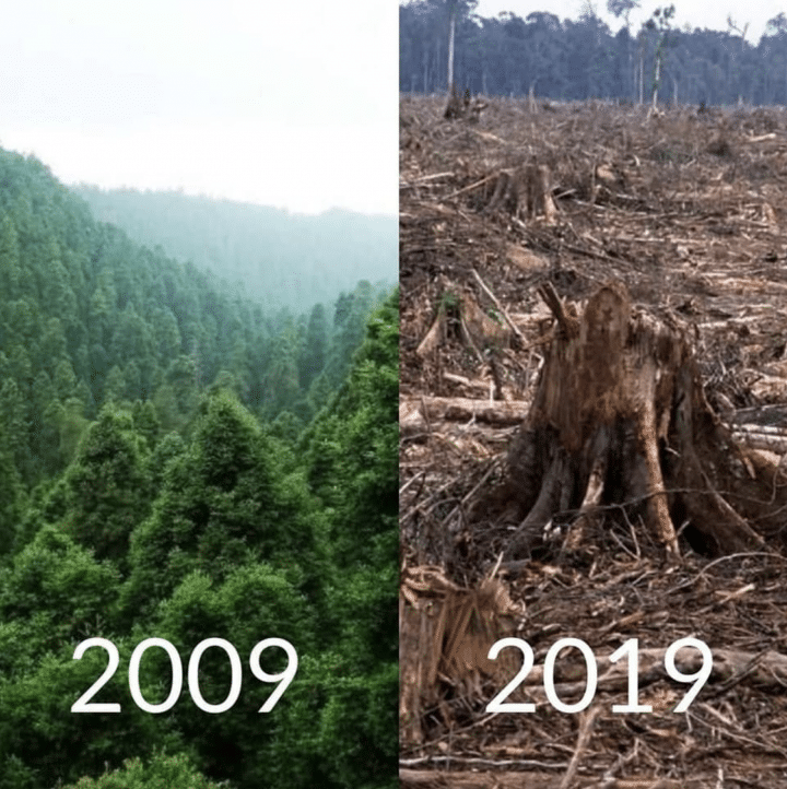 10 years challenge
