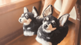 chaussons-personnalisables-peluche-geante-chien-instagram