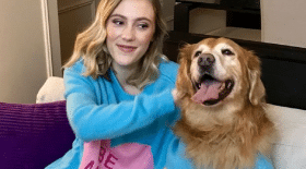 chien-pull-double-tête-saint-valentin-câlin
