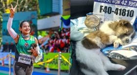 chiot-abandonné-marathon-sauver