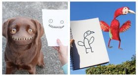 Collage dessins enfant