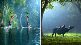 Collage indonesie