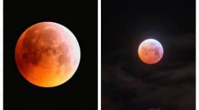 Collage lune de sang