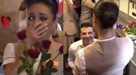 demande en mariage hôtesse de l'air
