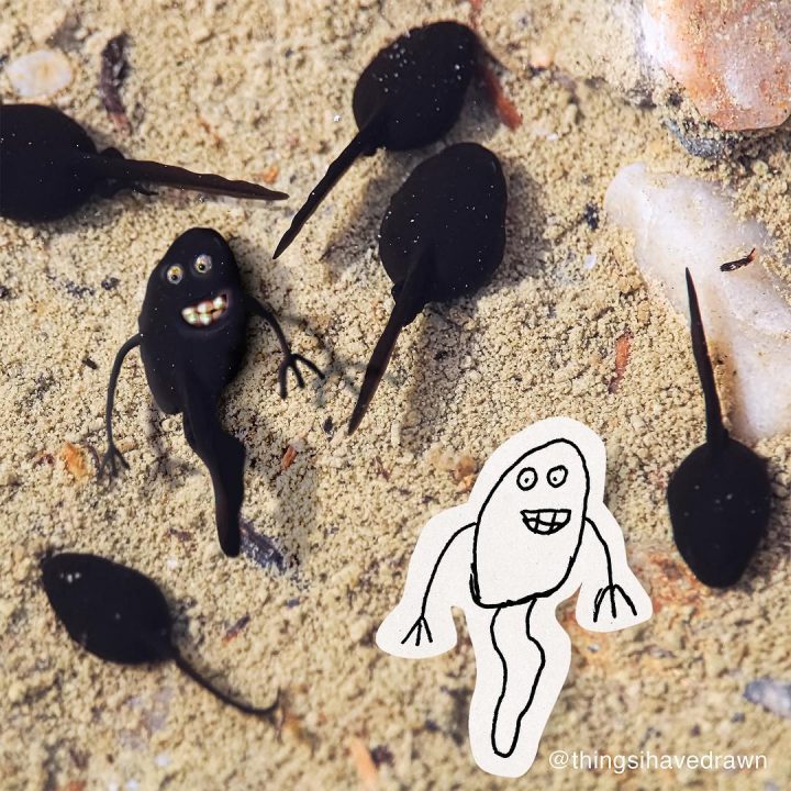 dessins-pere-fils-animaux