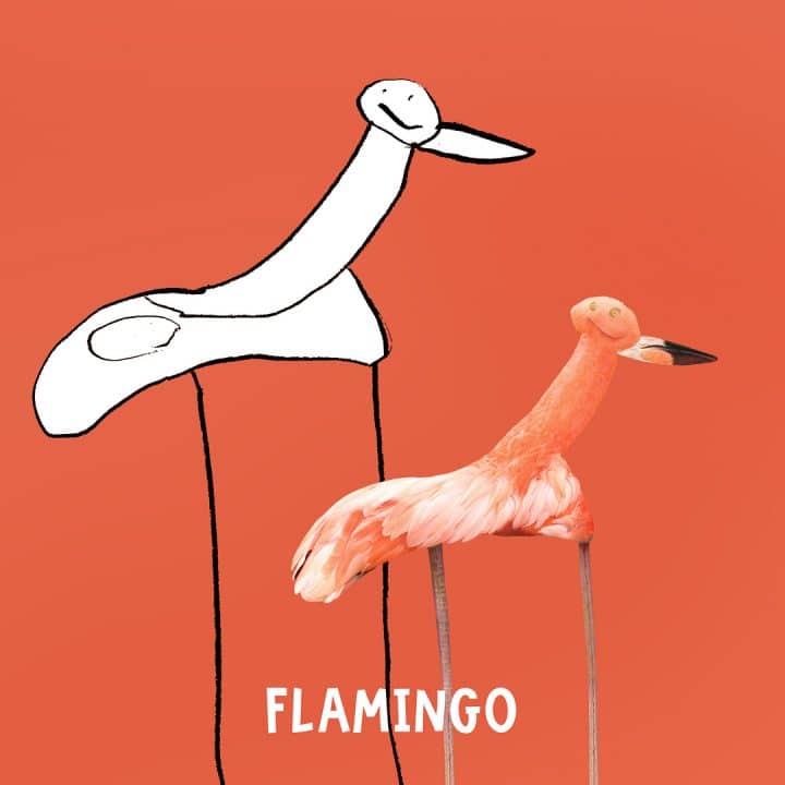 dessins-pere-fils-animaux