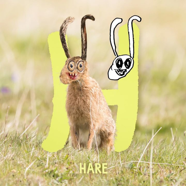 dessins-pere-fils-animaux