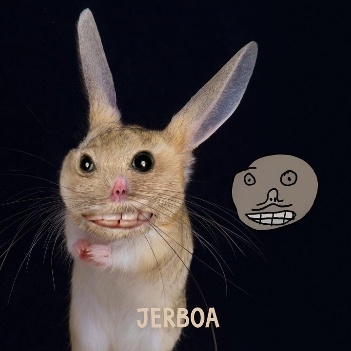 dessins-pere-fils-animaux