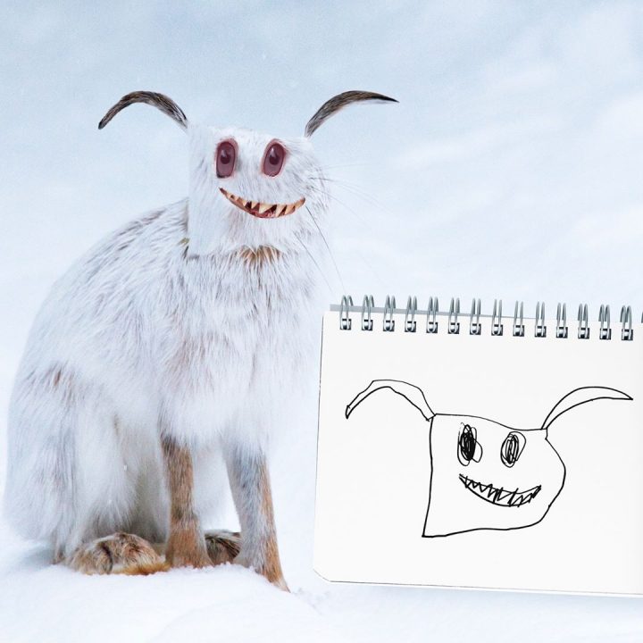 dessins-pere-fils-animaux