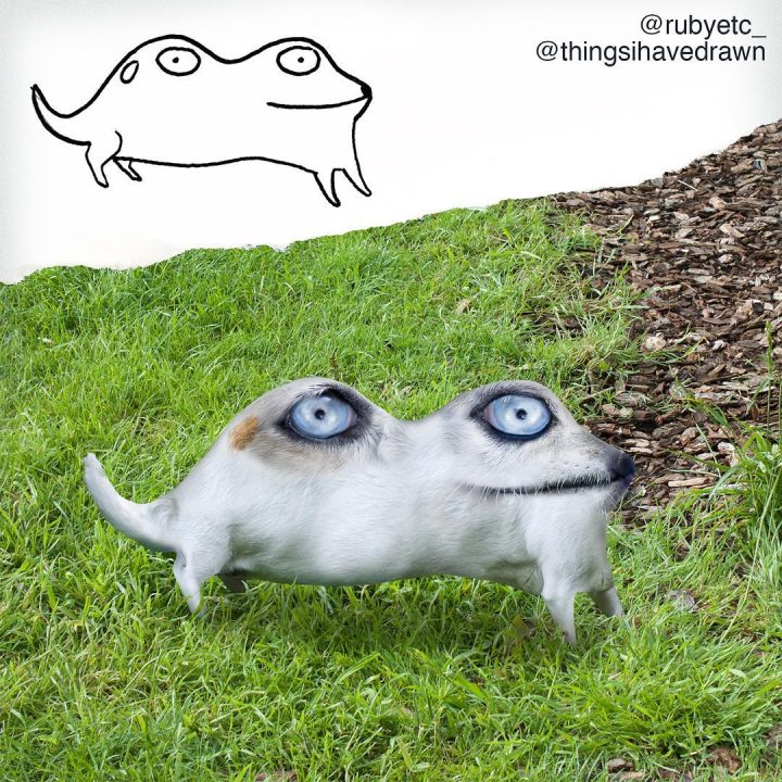 dessins-pere-fils-animaux