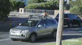 enfant sur le toit d'une voiture