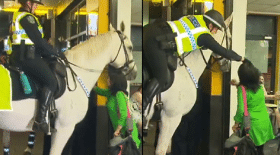 frappe-cheval-police