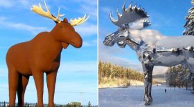guerre des statues d'élans
