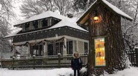 IDAHO-bibliotheque-Arbre