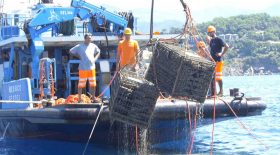 mousseux conservé dans la mer