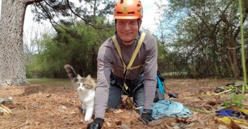 Norman Adams : le sauveteur des chats en détresse