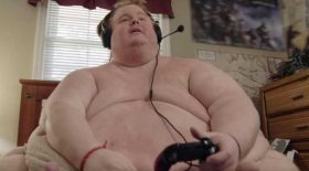gainer-bull-obese