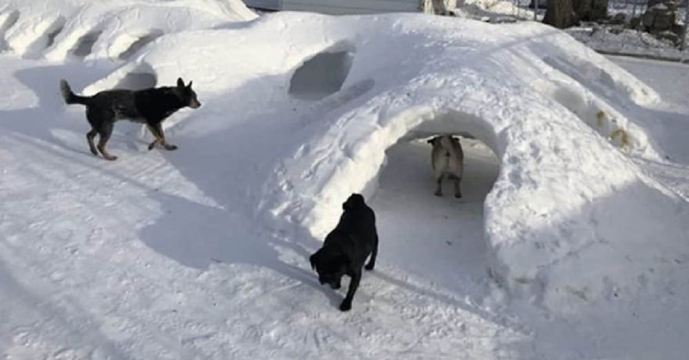 Depuis sept ans, ce maître creuse des tunnels dans la
