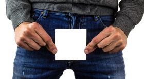 penis