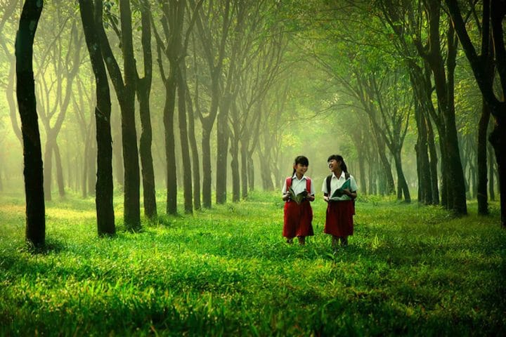 photographe-indonesie12