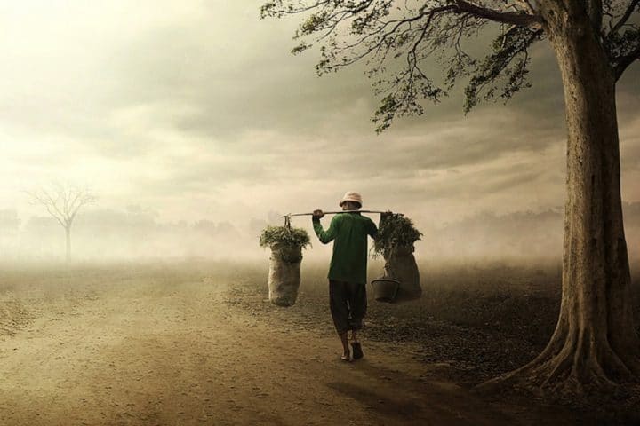 photographe-indonesie13