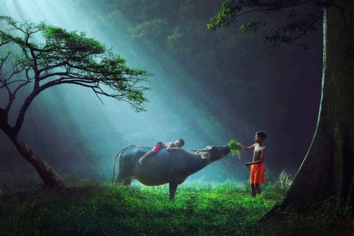 photographe-indonesie14