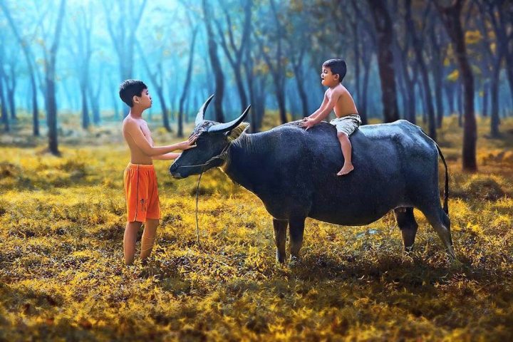photographe-indonesie15