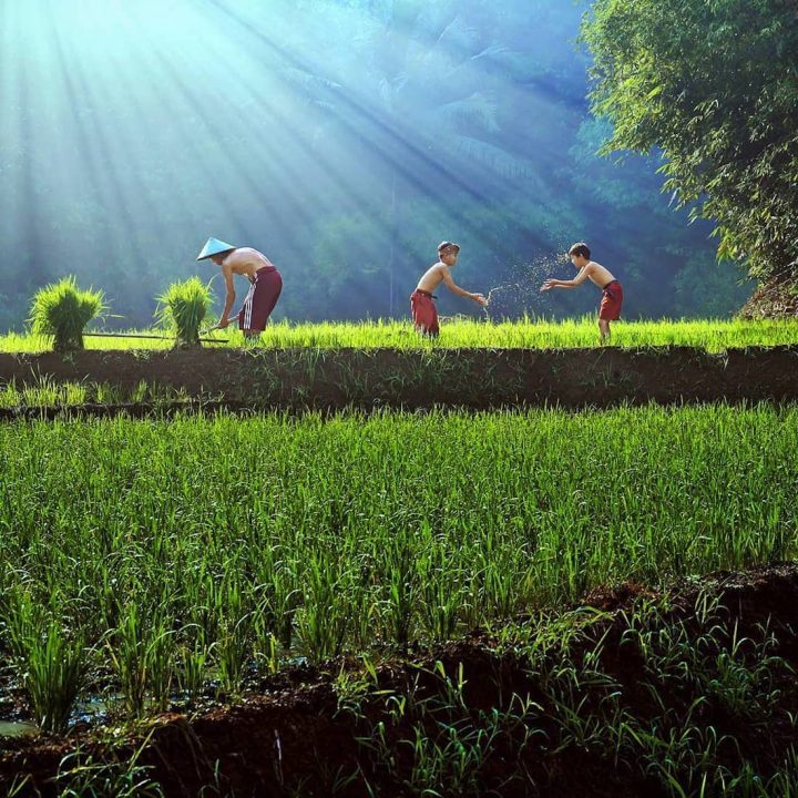 photographe-indonesie16