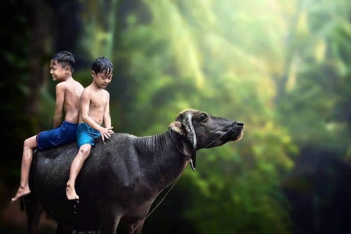 photographe-indonesie20