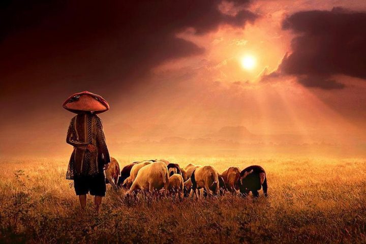 photographe-indonesie21