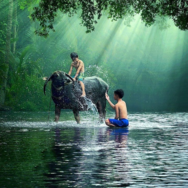 photographe-indonesie22