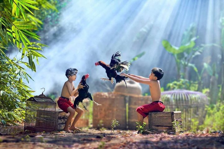 photographe-indonesie24
