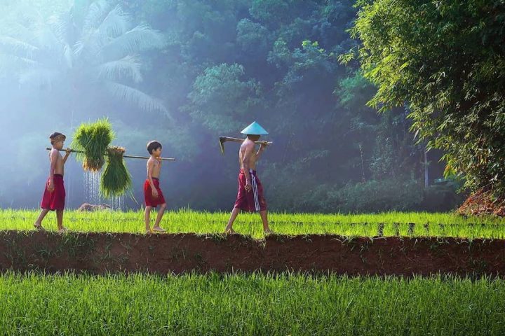 photographe-indonesie25