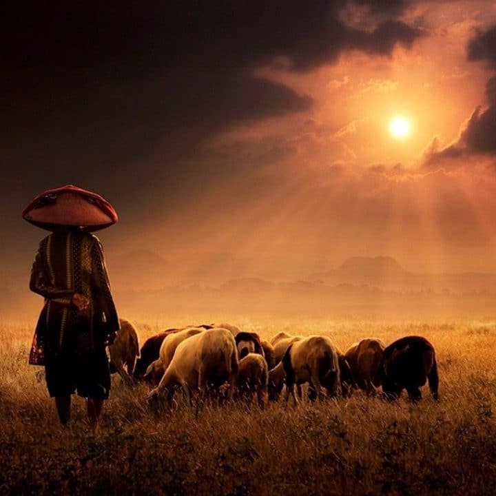 photographe-indonesie28