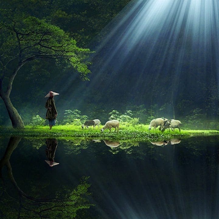 photographe-indonesie29