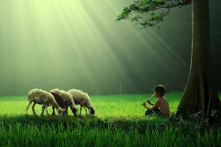 photographe-indonesie34