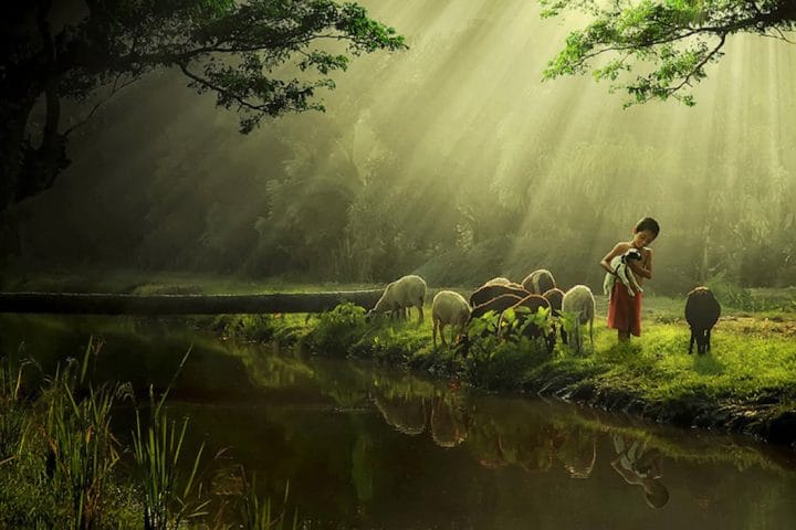 photographe-indonesie35