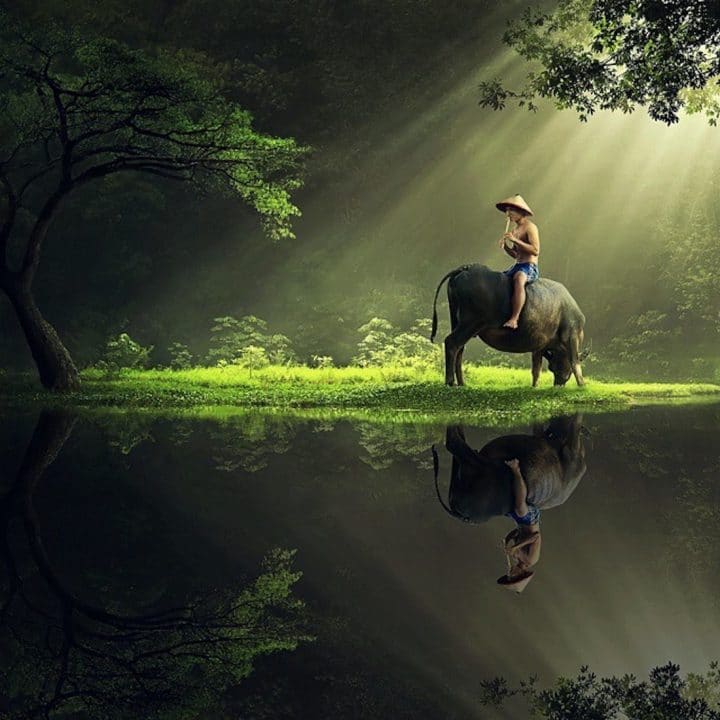 photographe-indonesie36