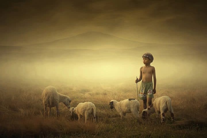 photographe-indonesie40