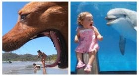 photo timing parfait