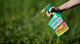 Glyphosate