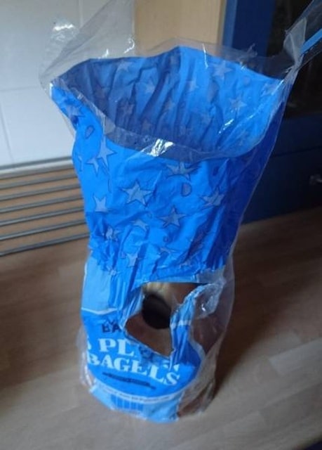 so_freaking_annoying